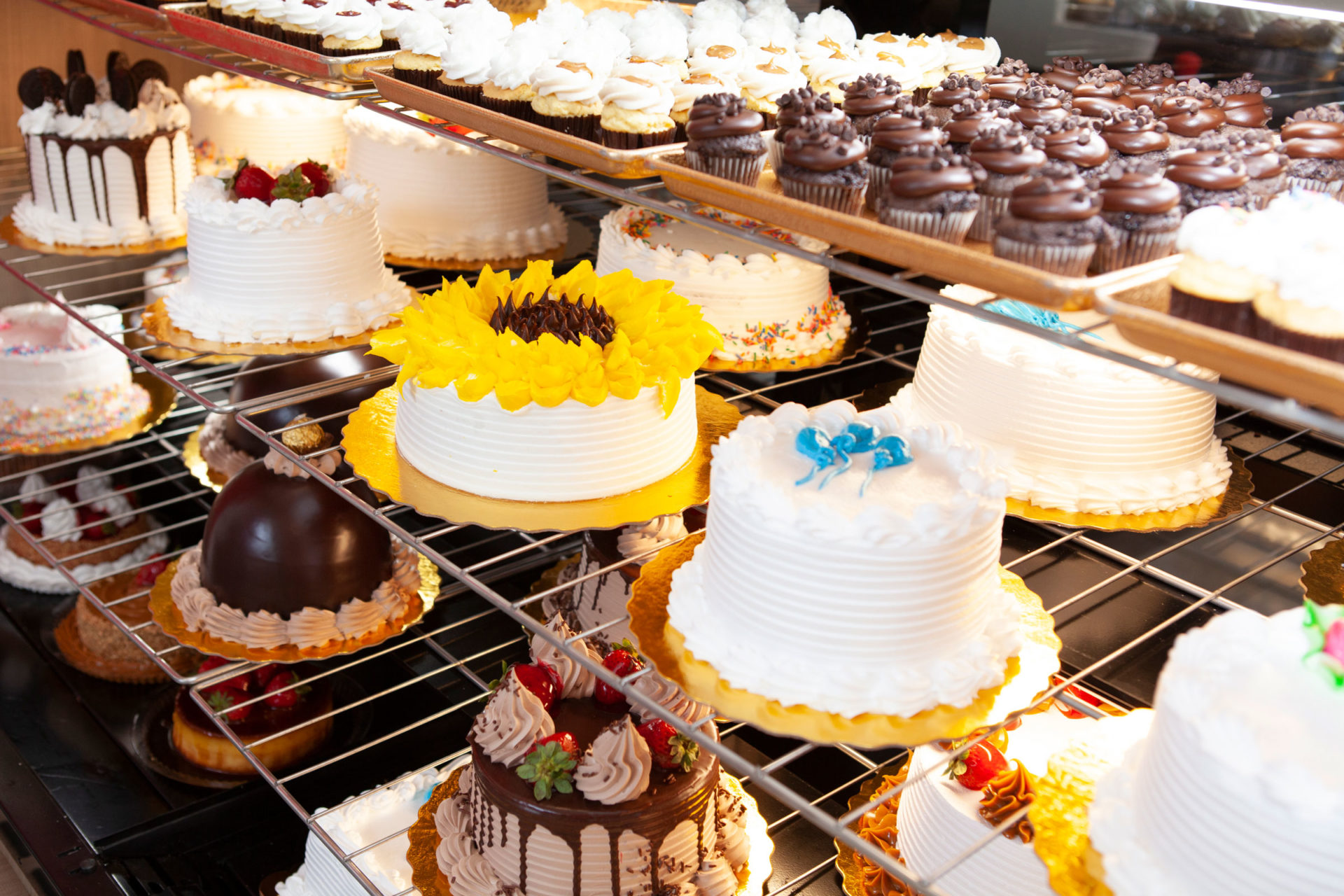 An assortment of decorated cakes and cupcakes, including white frosted layer cakes with floral designs, chocolate ganache cakes, and sunflower-themed cakes